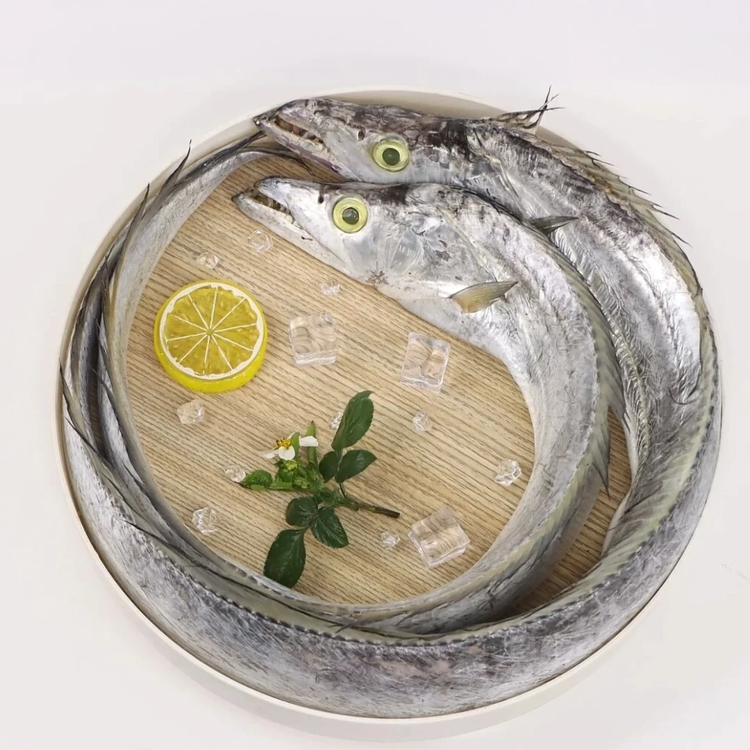 L南海海域  钓带 南海大带鱼   整条发 顺丰包邮 码头直发