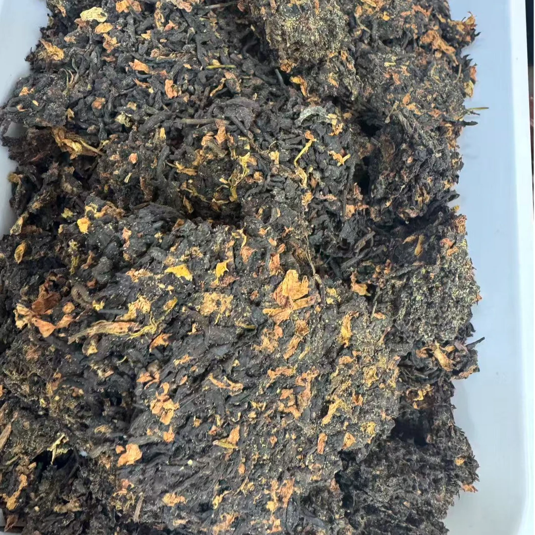 正宗核心产区广西梧州茉莉金花六堡茶--郑董源头收好茶