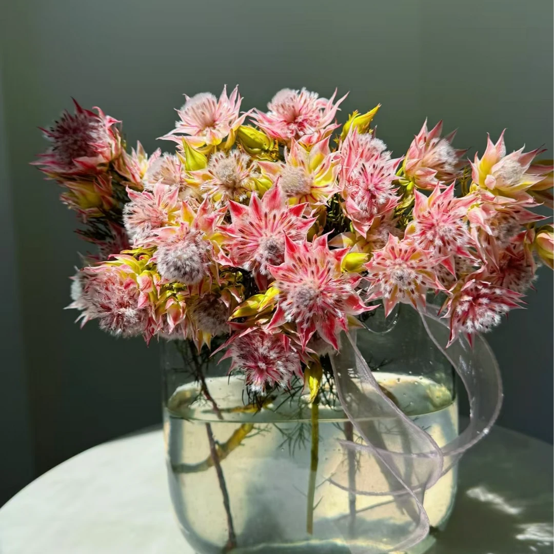 鲜花 2把新娘花 鲜花批发不售后介意勿拍