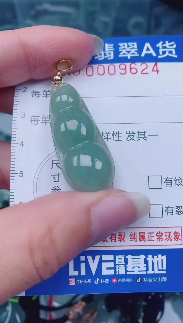 颈饰未镶嵌翡翠00009624