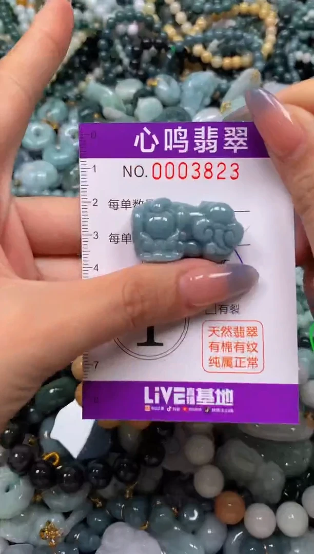 颈饰未镶嵌翡翠闪购003823