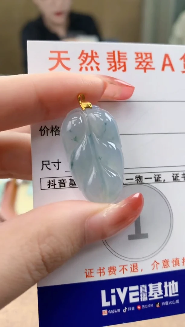 颈饰未镶嵌翡翠天然A货翡翠挂件