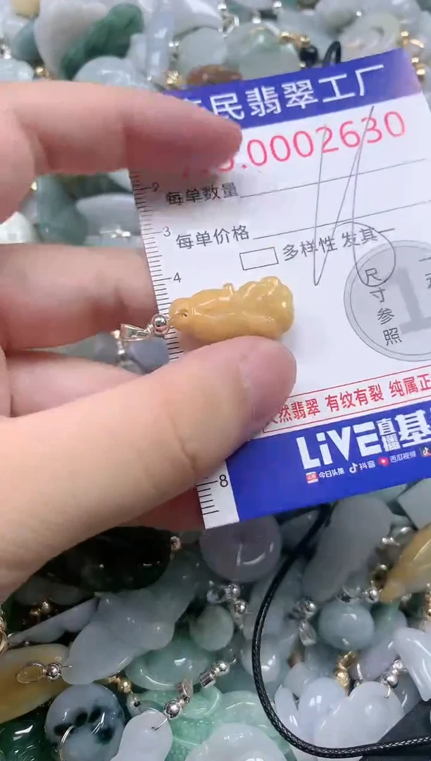 翡翠未镶嵌吊坠(不含链)2630