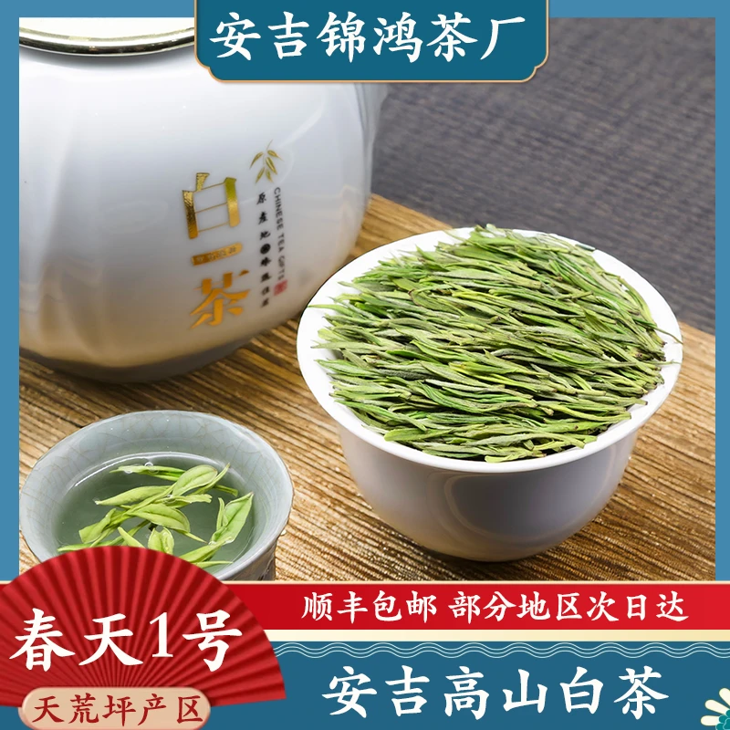 春天一号 原产安吉高山茶绿茶口粮茶严选兰花香安吉新茶白茶茶叶