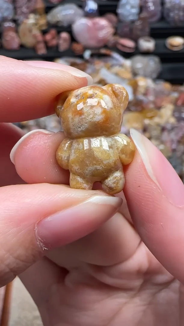 颈饰未镶嵌硅化珊瑚（珊瑚玉）703