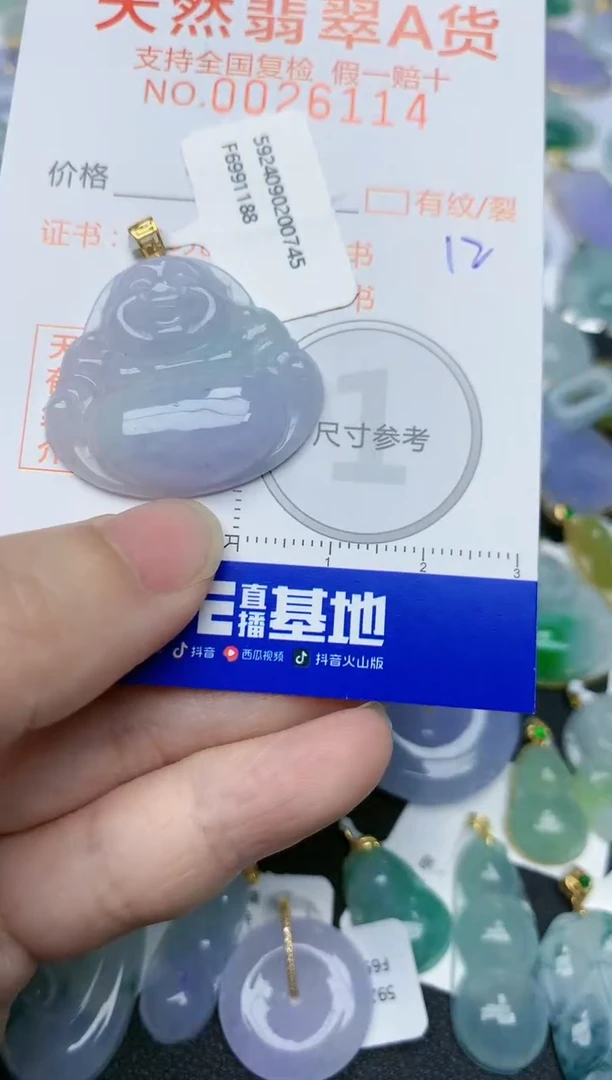【闪购商品】翡翠颈饰18K金镶嵌天然翡翠A货    