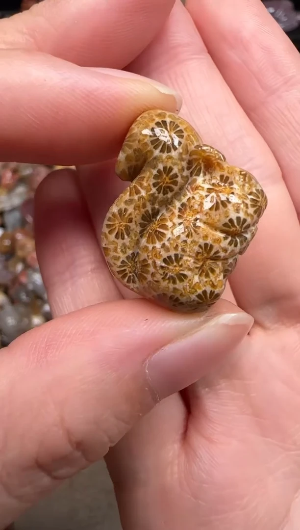 硅化珊瑚（珊瑚玉）未镶嵌颈饰521