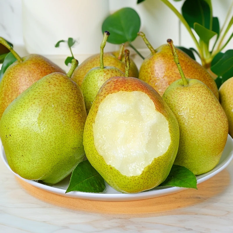 【精选】山西红香酥梨当季新鲜水果整箱批发雪梨子脆甜多汁薄皮好吃