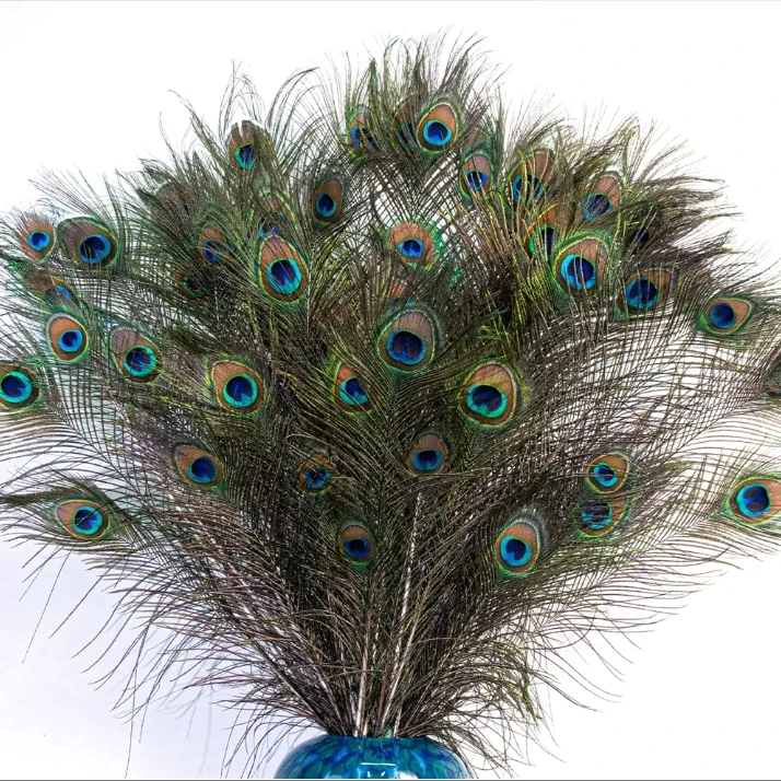 买15送15根家用装饰工艺羽毛装饰摆件孔雀翎羽