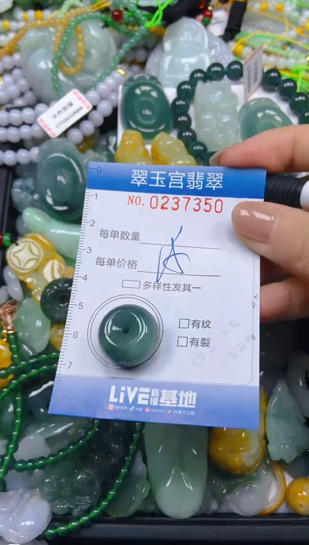 颈饰未镶嵌翡翠闪购C0237350