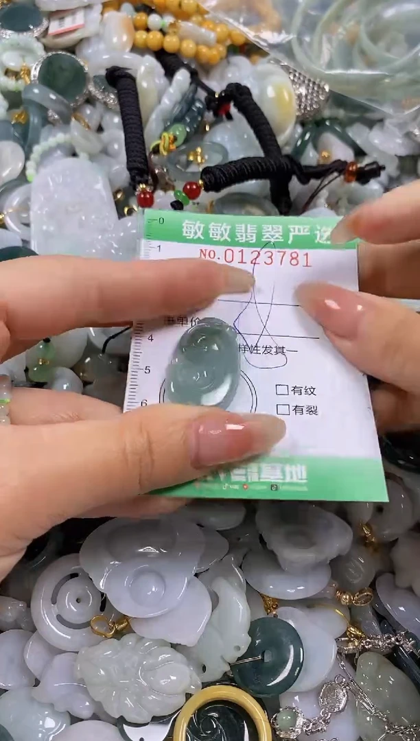 【闪购商品】翡翠颈饰未镶嵌闪购0123781