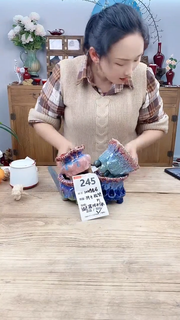 【闪购商品】红陶245