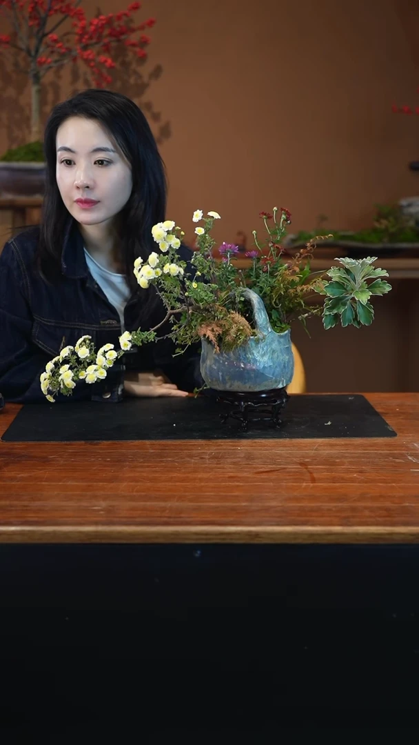 全部花朵山野草盆景盆景盆景