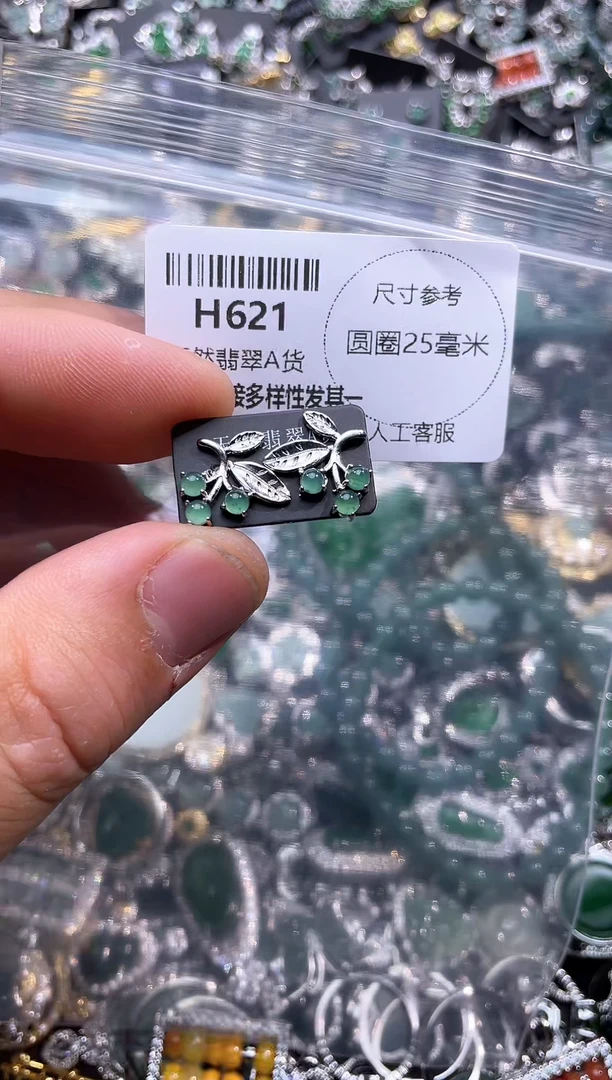 【闪购商品】翡翠颈饰未镶嵌H621耳钉