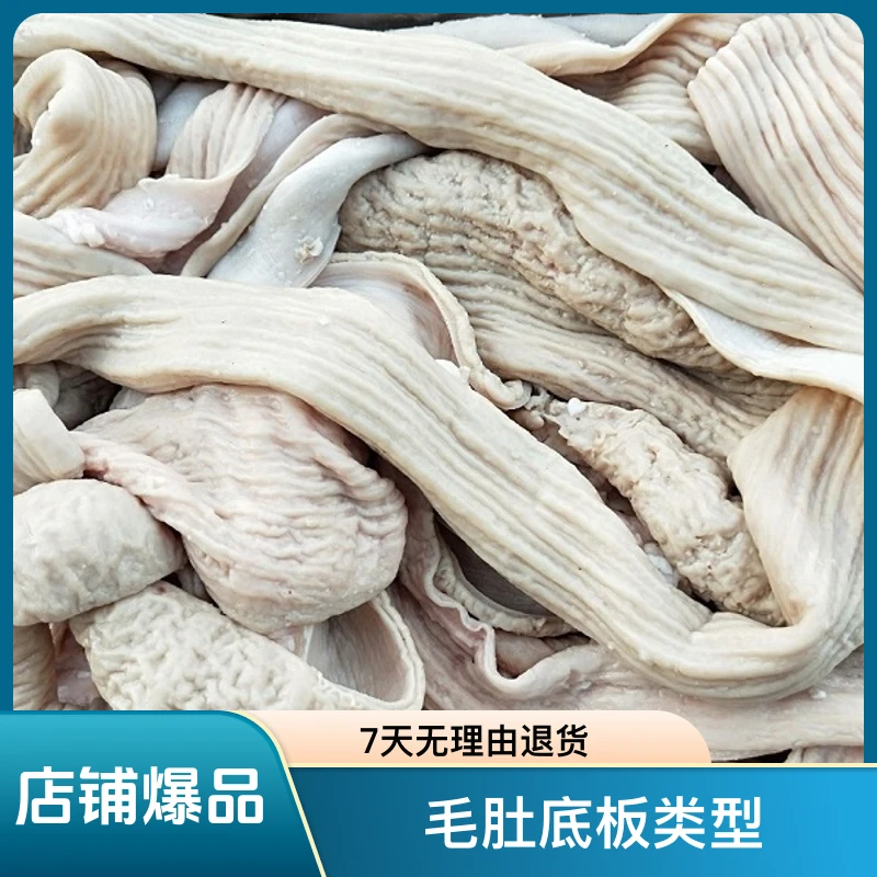 牛大肠！新疆新鲜干净牛大肠 固形物含量50%以上