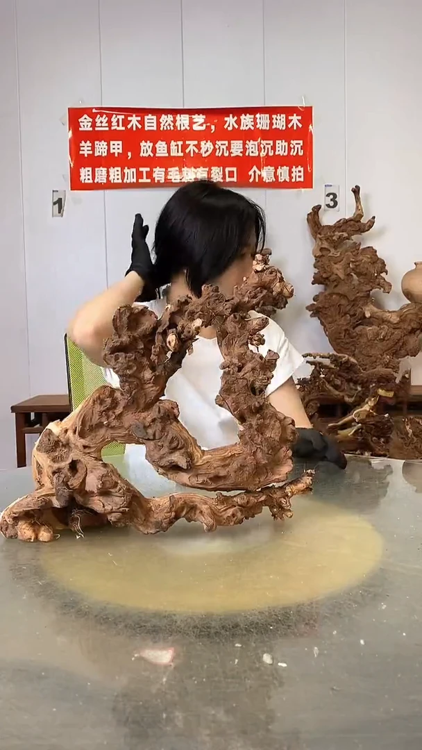 香榧木金丝红木  羊蹄甲