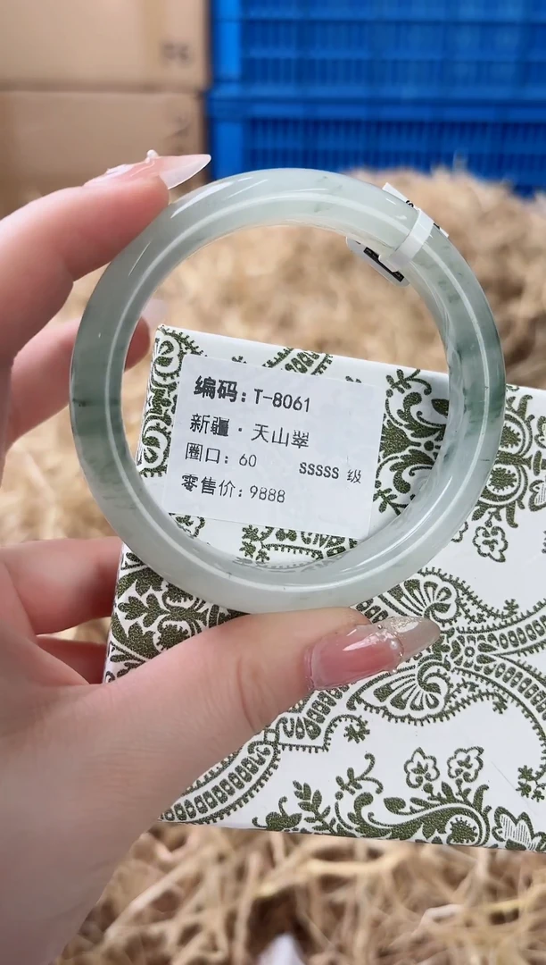 未镶嵌手镯石英质玉T-8061