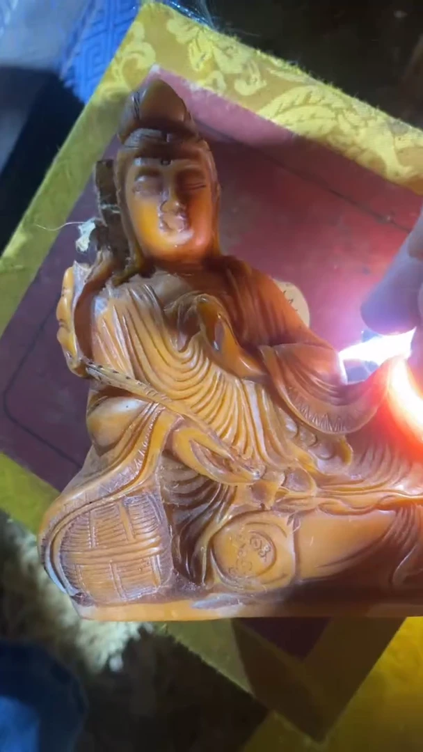 香榧木11111111111111111111