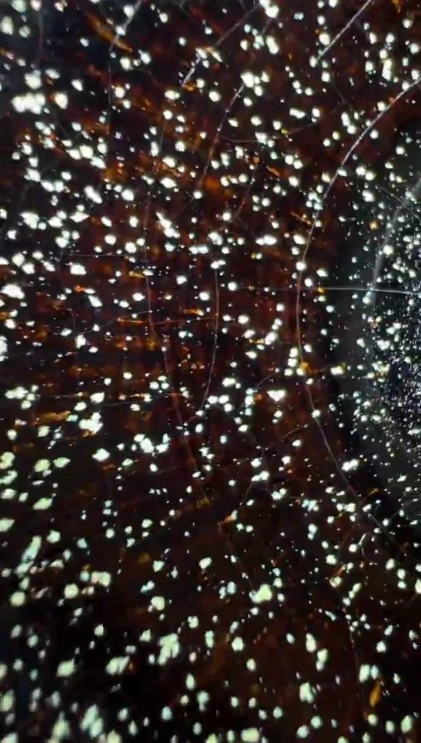 茶盏李健高端收藏39