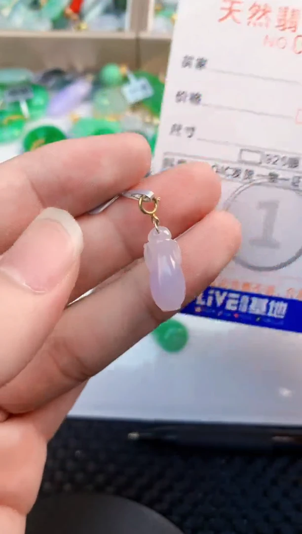 翡翠未镶嵌吊坠(不含链)           1