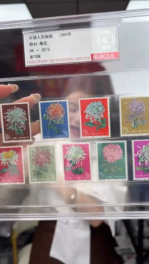 特44 菊花 RCGS评级 精大盒