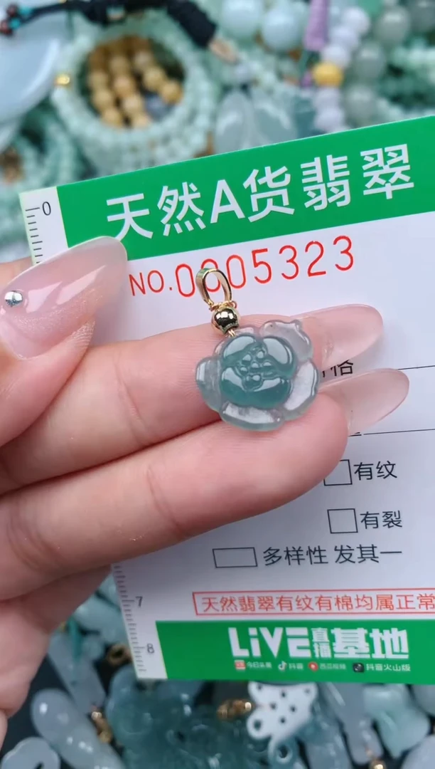 翡翠未镶嵌颈饰.0005323