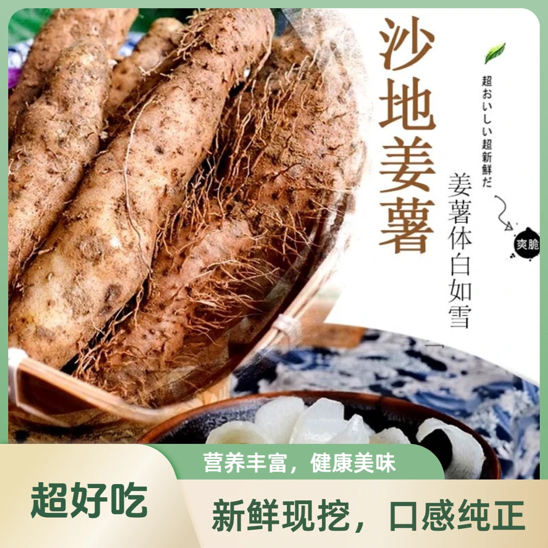 姜薯 潮汕特产姜薯惠来姜薯现挖带皮精选大个直