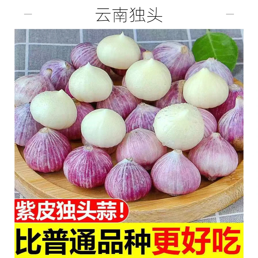 【姜蒜大王】大理紫皮独头蒜 25年新蒜