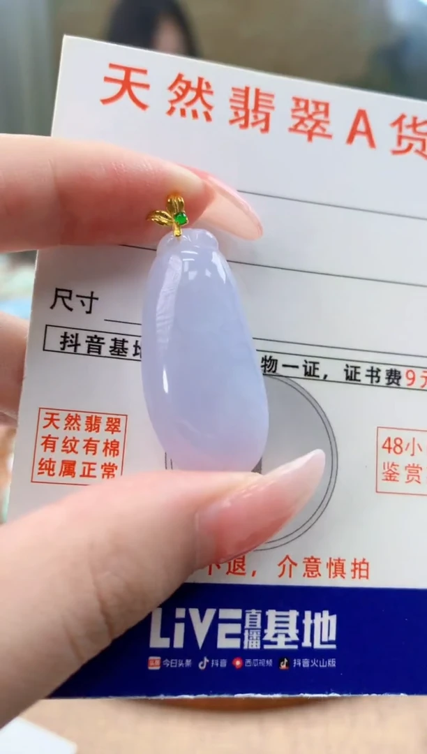 颈饰18K金镶嵌翡翠天然A货翡翠挂件