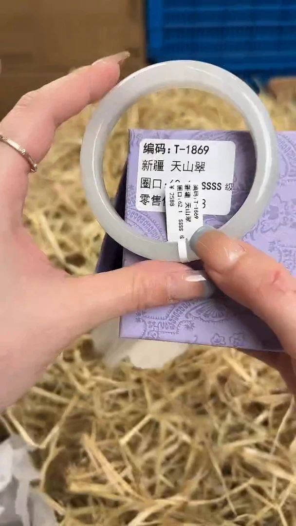未镶嵌手镯石英质玉T-1869