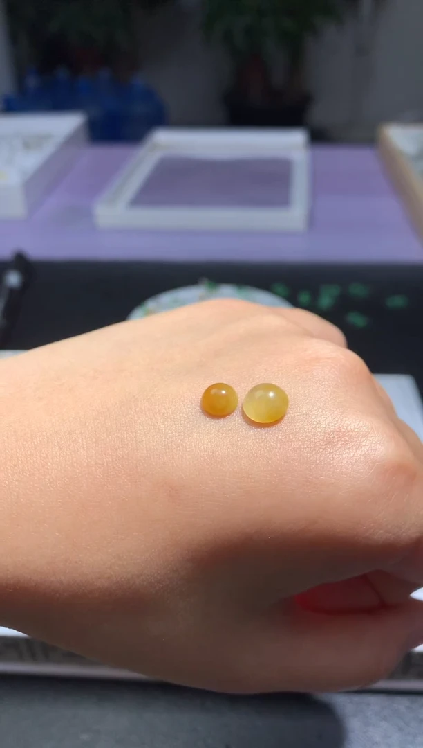 未镶嵌翡翠耳饰我**阳毛货