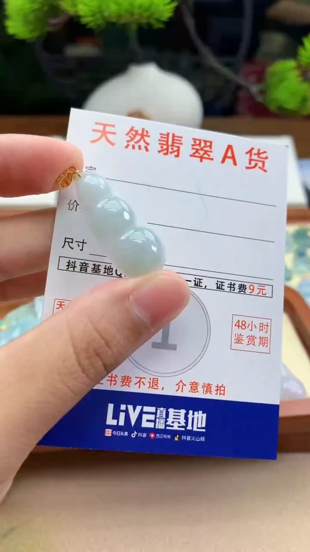 颈饰未镶嵌翡翠天然A货翡翠挂件