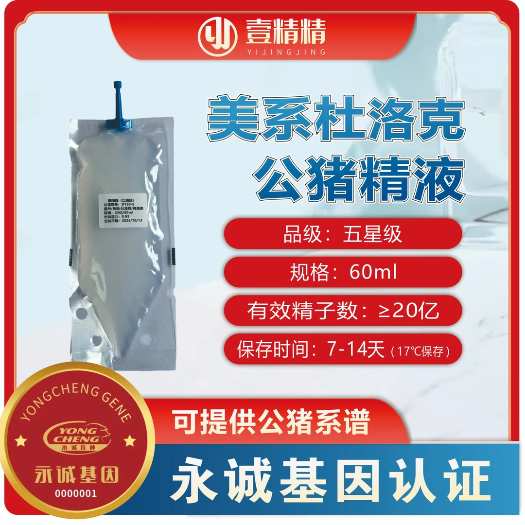 五星级杜洛克猪精买一赠一（拍1发2）