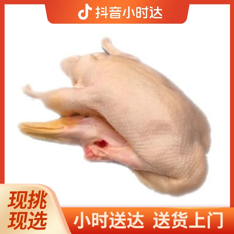 老鸭