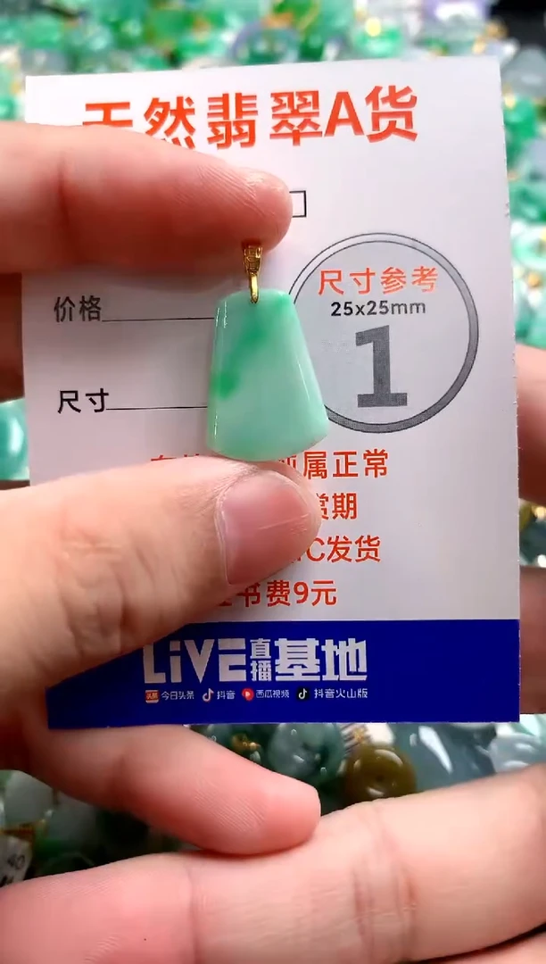 颈饰未镶嵌翡翠24000837