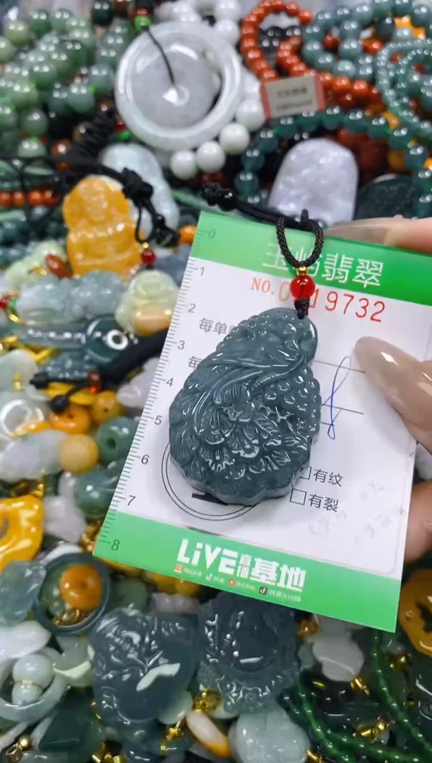 颈饰未镶嵌翡翠闪购0219732