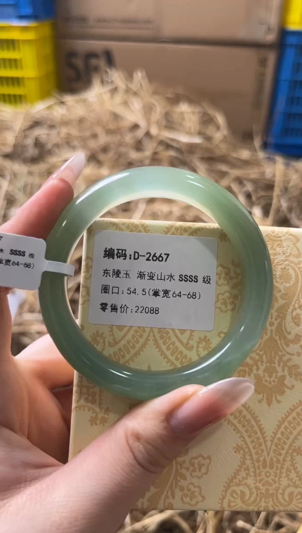 未镶嵌手镯石英质玉D-2667