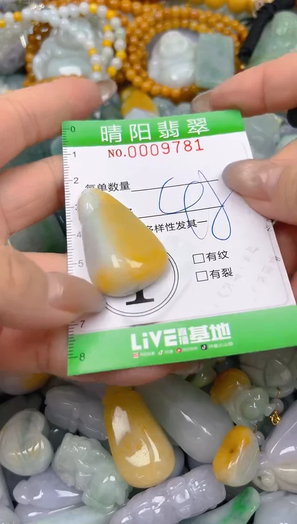 颈饰未镶嵌翡翠闪购0009781