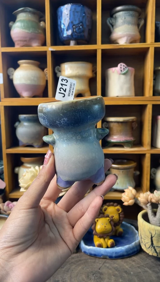 213内口5【多肉花盆多肉盆】