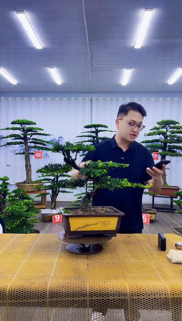 无花朵本****己0000000000000000000000