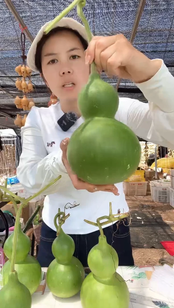 607天然葫芦摆件 一物一拍龙头不保售后