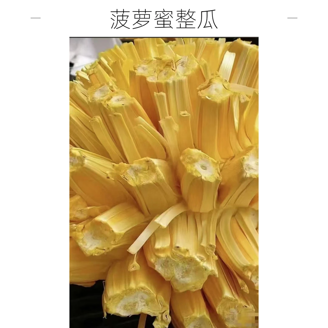 菠萝蜜一整个