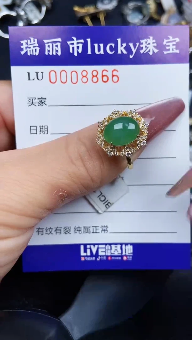 翡翠银S925镶嵌颈饰8866