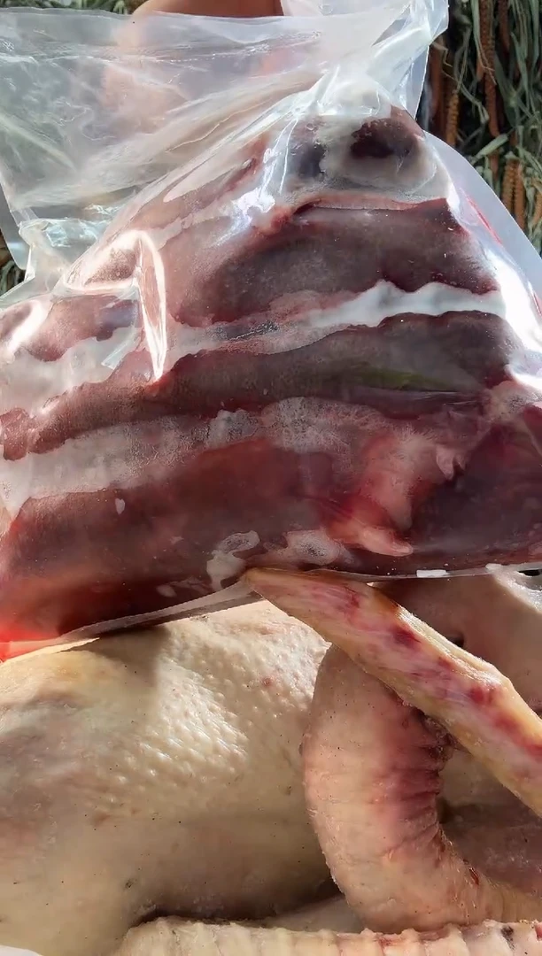 中国大陆生血肠1袋2.8斤-3斤左右