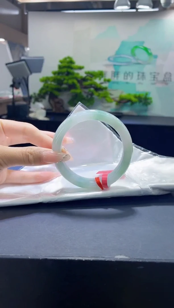 未镶嵌手镯翡翠7