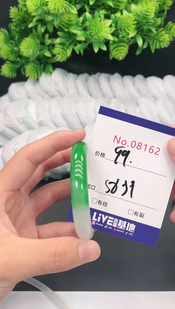 未镶嵌手镯翡翠8162