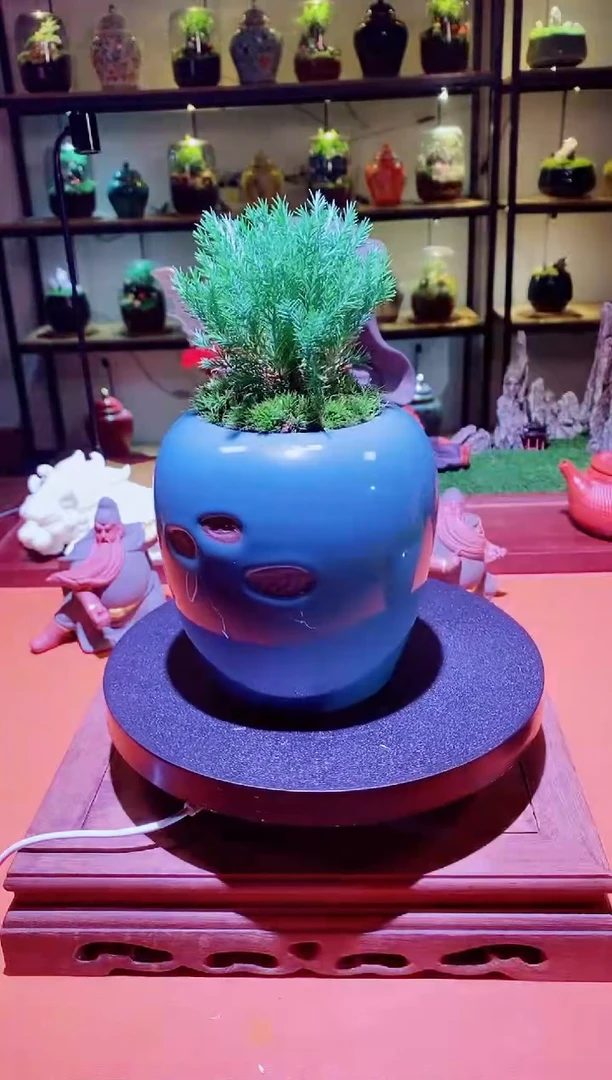 吉鑫福利精选福力