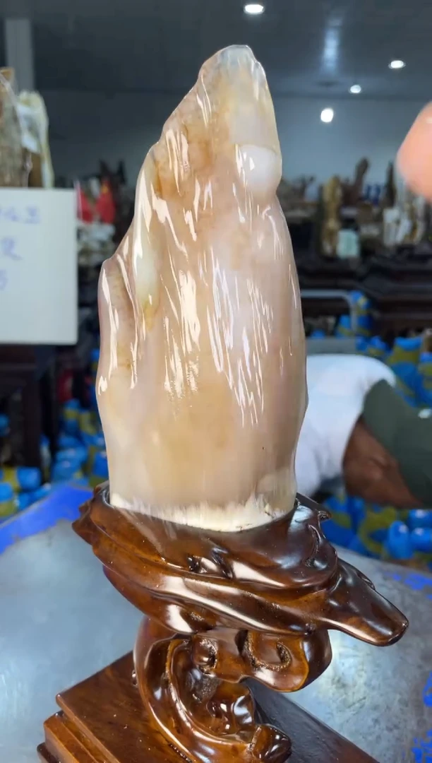 未镶嵌摆件硅化玉15