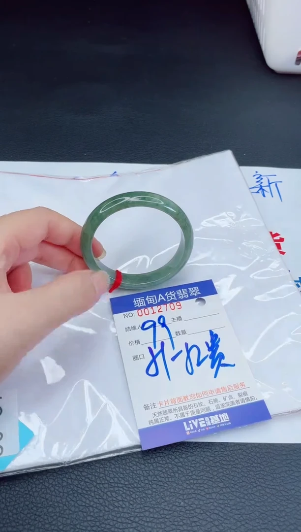 未镶嵌手镯翡翠我