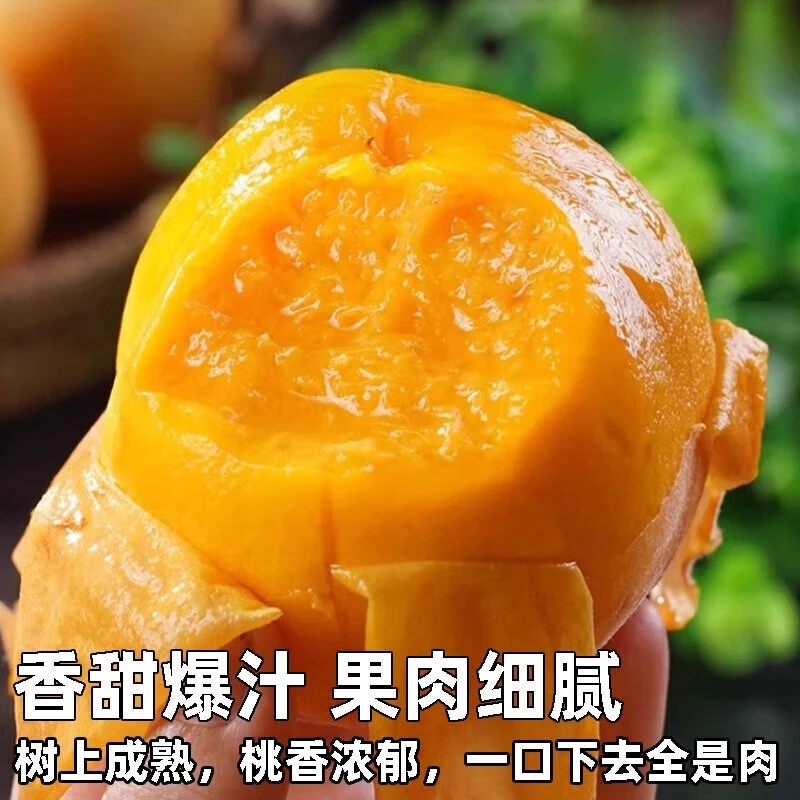 【顺丰包邮】丹东黄金蜜桃黄油桃子水果黄桃净重单果250g精品超大果